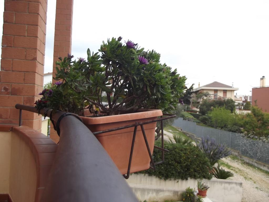 La Specchia Bed & Breakfast Matera Eksteriør bilde